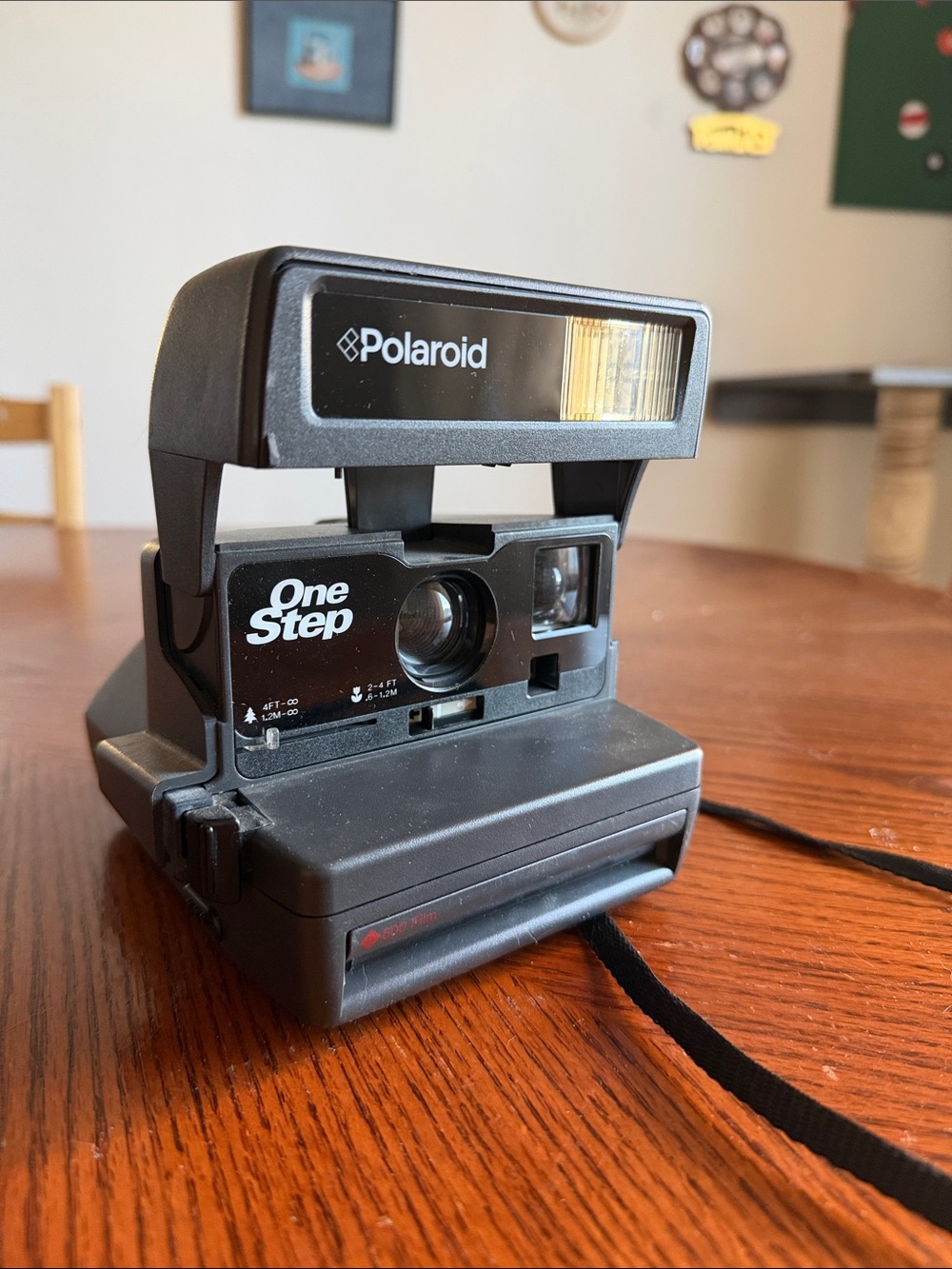 Polaroid device